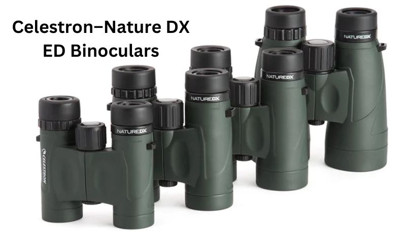 celestron nature dx ed binoculars
