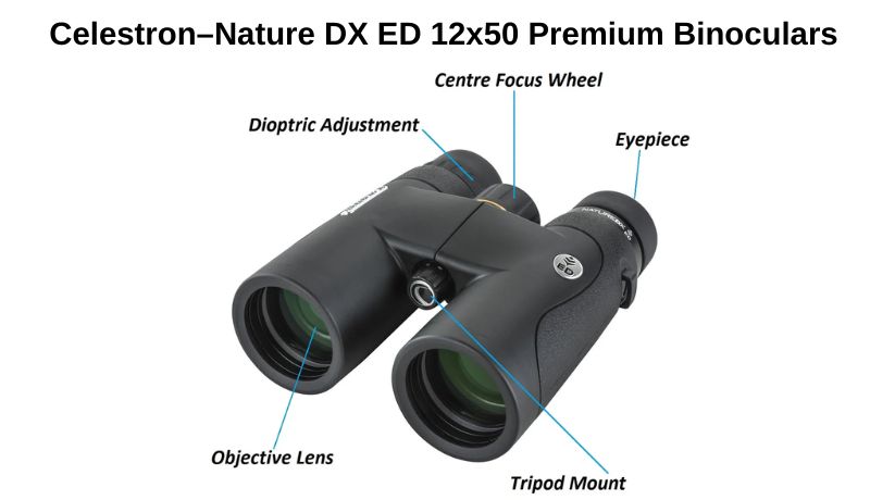 Celestron–Nature DX ED 12x50 Premium Binoculars
