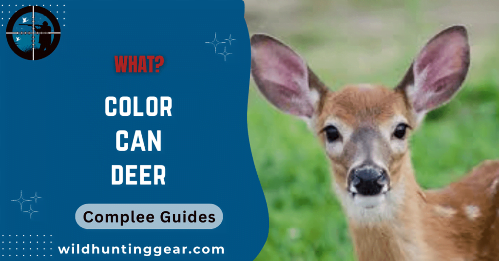color Deer can see