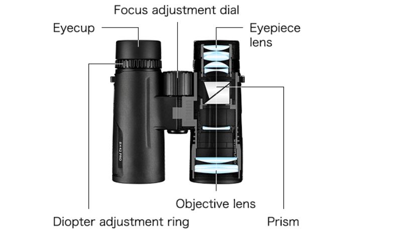 Features and Specifications of a Binoculars