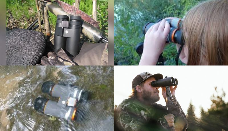 Maven B1.2 42mm ED Binoculars Black, Gray