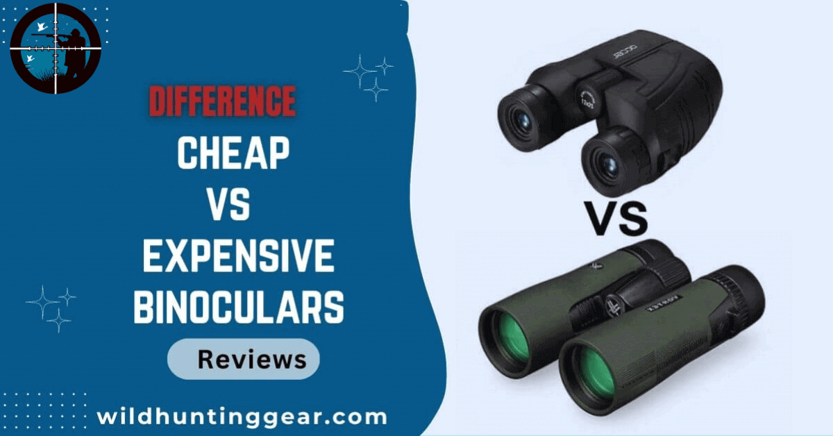 cheap vs expensive binoculars