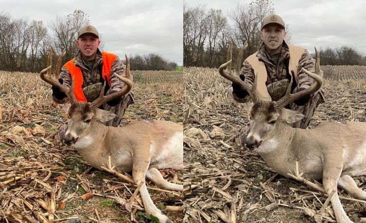 deer-se-brown-and-gray deer see color