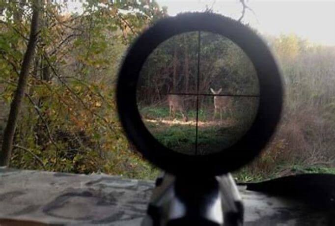 scope objective lens