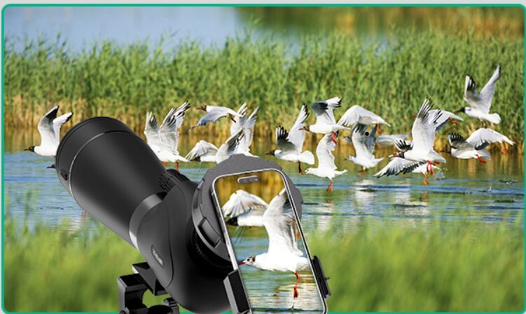 spotting-scope-for-birding spotting scope for birding